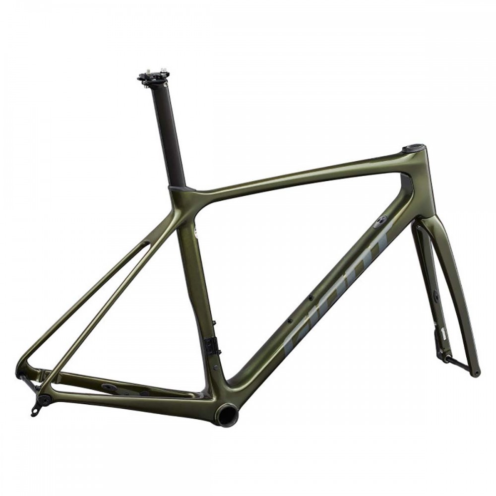 2022 Giant TCR Advanced Pro Disc Frameset