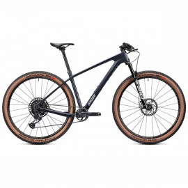 2022 Radon Jealous 10.0 Mountain Bike