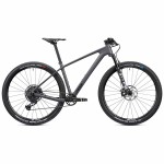 2022 Radon Jealous 8.0 Mountain Bike