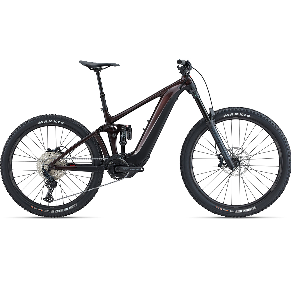 2023 Giant REIGN E+ 2 Mountain Bike