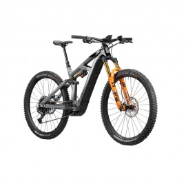 2023 Radon Render 10.0 750 Mountain Bike