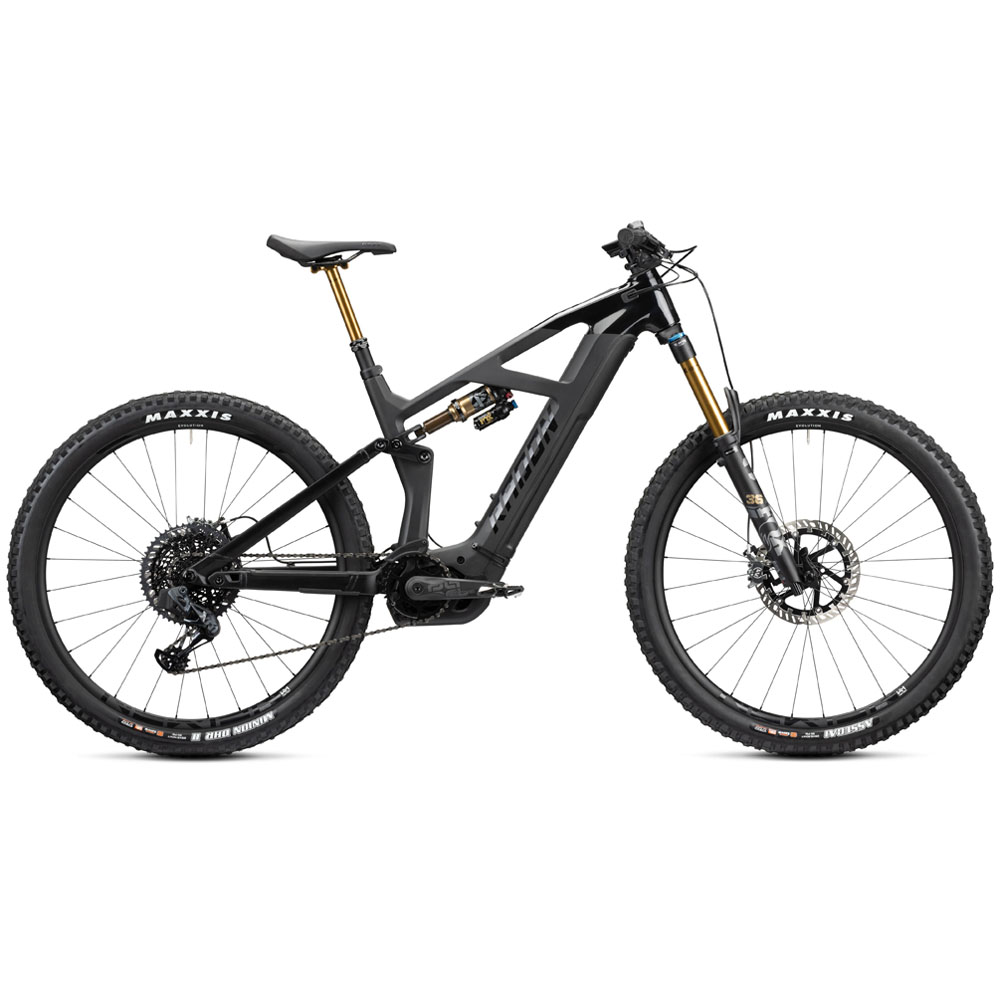 2023 Radon Render 10.0 HD 750 Mountain Bike