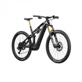 2023 Radon Render 10.0 HD 750 Mountain Bike