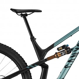 2024 Canyon Spectral 29 CFR Mountain Bike