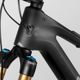 2025 Canyon Spectral CF 9 Mountain Bike